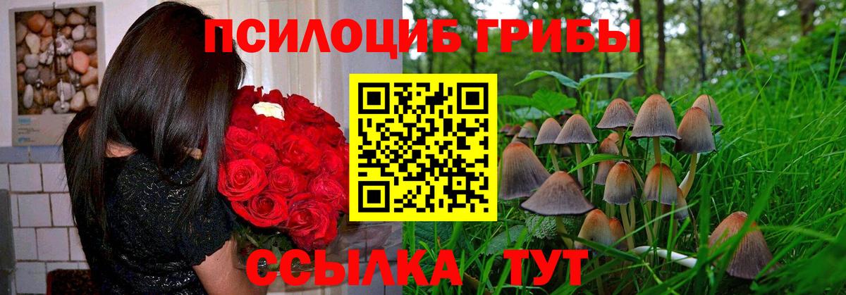 Галлюциногенные грибы Magic Shrooms Ипатово