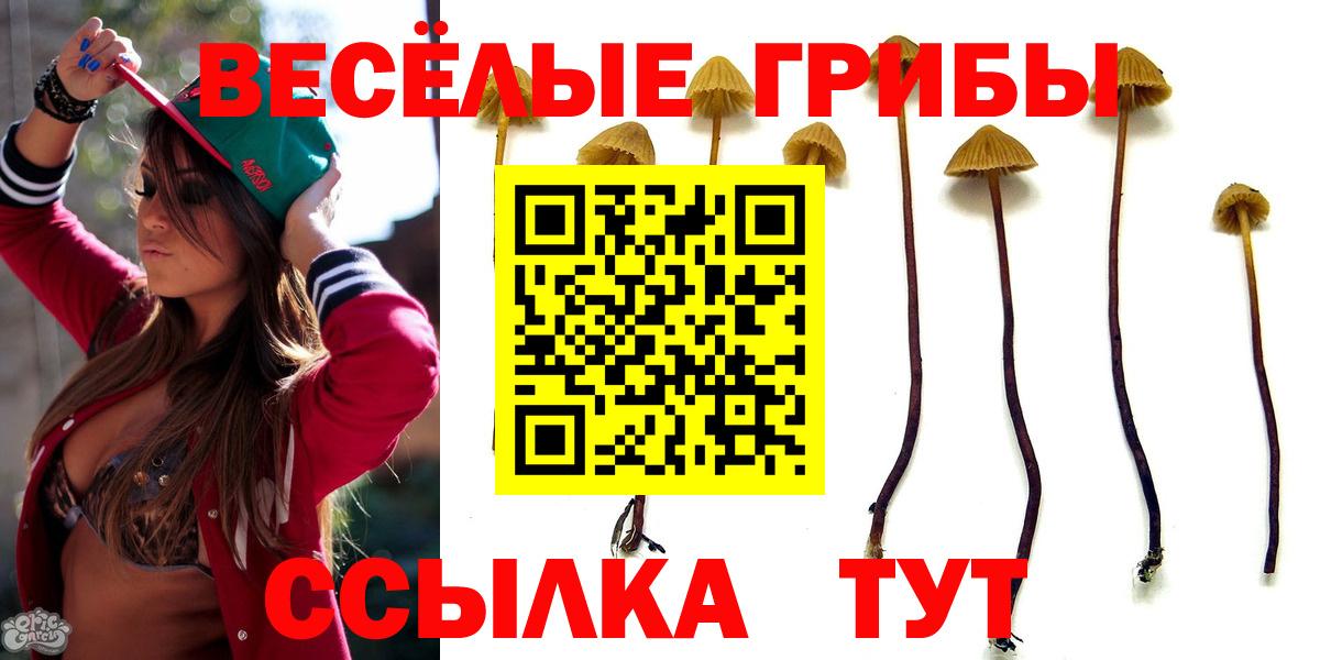 Псилоцибиновые грибы прущие грибы  Вход с VPN  Ипатово  Псилоцибиновые грибы ЛСД 